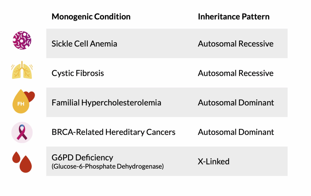 A table of monogenic conditions and their corresponding inheritance patterns. Sickle Cell Anemia: Autosomal Recessive. Cystic Fibrosis: Autosomal Recessive. Familial Hypercholesterolemia: Autosomal Dominant. BRCA-Related Hereditary Cancers: Autosomal Dominant. G6PD Deficiency (Glucose-6-Phosphate Dehydrogenase): X-Linked.